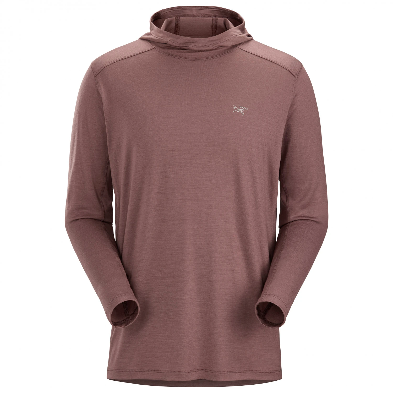 Arc'teryx Ionia Hoody - Merinoshirt – Bild 7